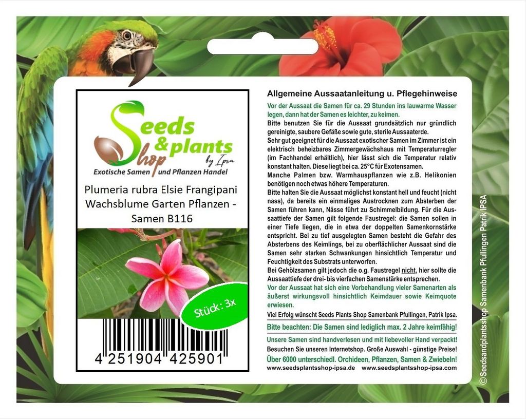 3x Plumeria rubra Elsie Frangipani Wachsblume Garten Pflanzen - Samen B116