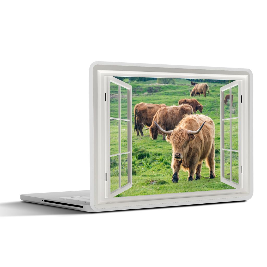 MuchoWow Laptop Aufkleber Sticker Cover Ansicht - Gras - Schottischer Hochländer 30x22 cm - Laptop-Sticker