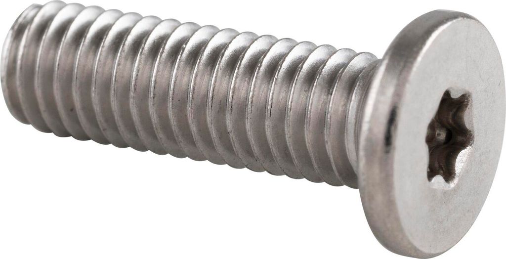 Zylinderschraube mit extrem niedrigem Kopf M4x10 Torx10 - Edelstahl A2 - 100 Stück