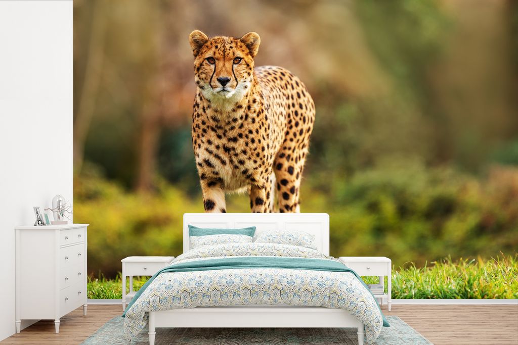 MuchoWow Fototapete für Wohnzimmer oder Schlafzimmer Wandtapete Vinyl Motivtapete Wildtiere - Gras - Leopard - Natur - 390x260 cm - Papiertapete