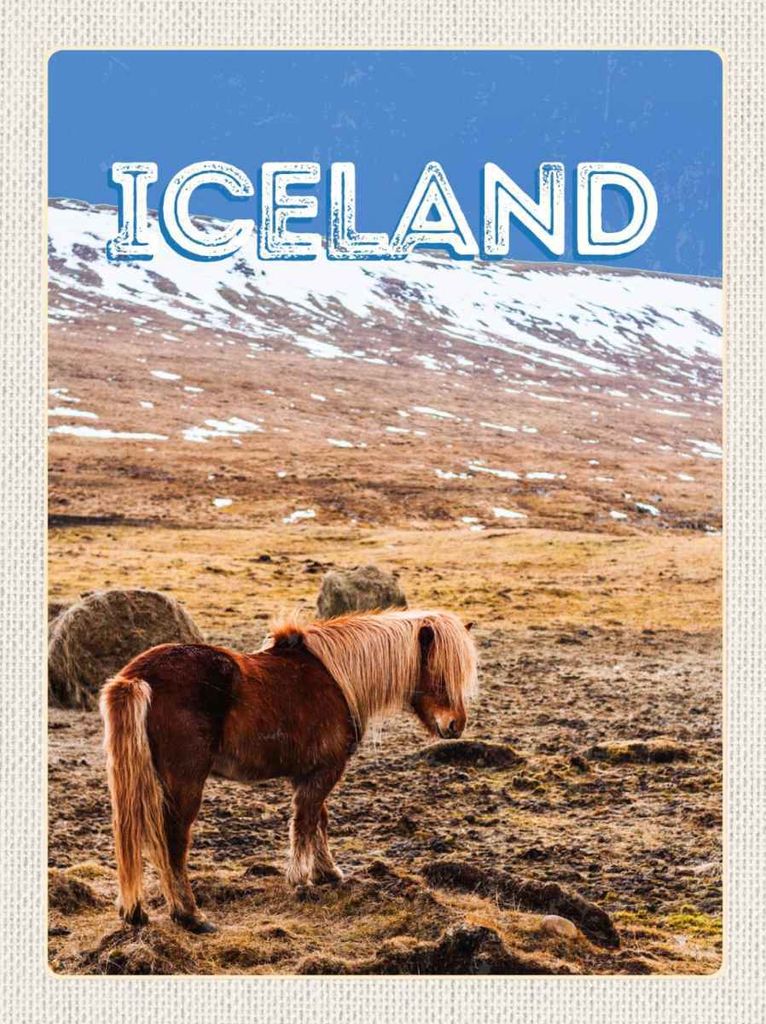 vianmo Holzschild 30x20 cm Iceland Pony icelandic horse Bildmotiv Reisemotiv Abenteuer Reisen