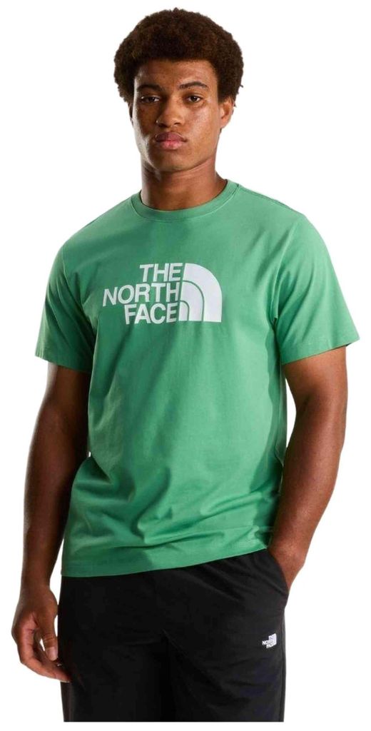 Pánské tričko The North Face M EVOLUTION HALF DOME REGULAR Obrázek produktu 
