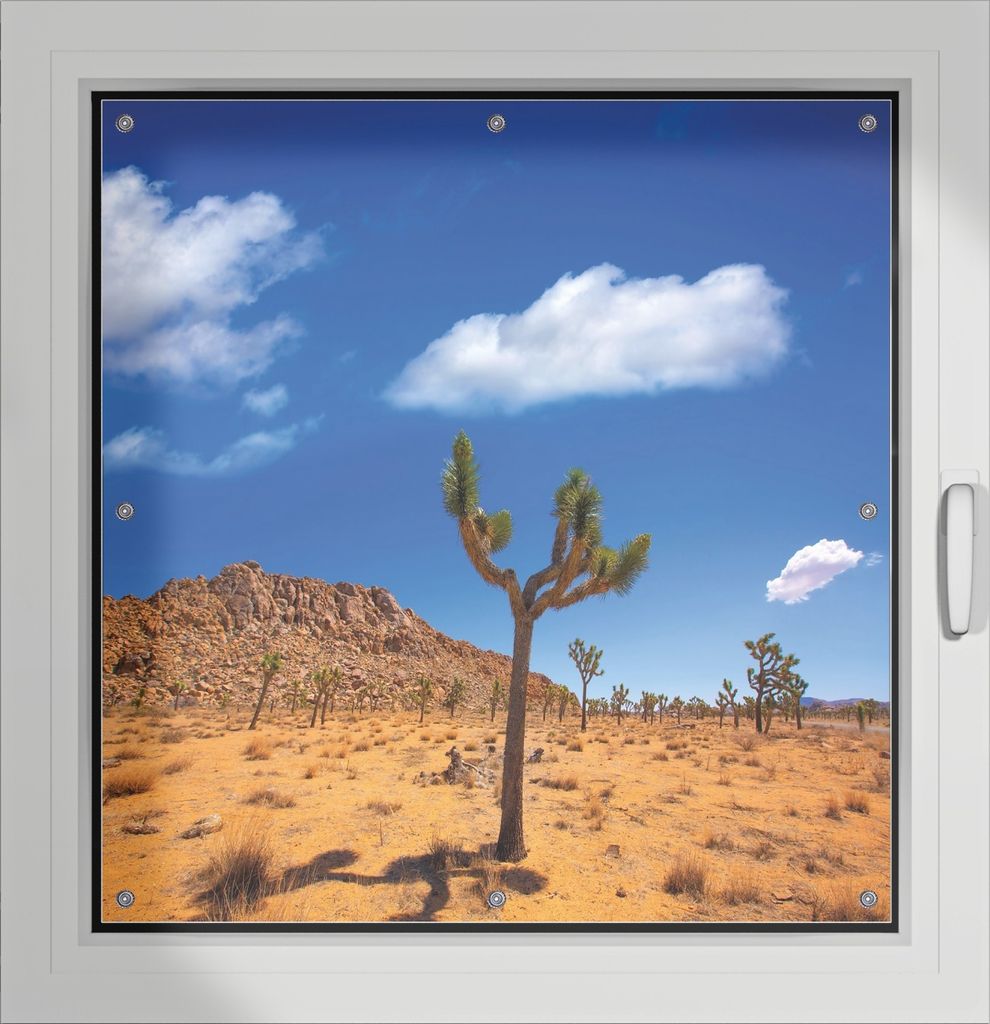 Wallario Lichtschutzbild, Dekorativer Sichtschutz Sonnenschutz 96 x 93 cm mit Motiv: Palmlilie im Nationalpark Yucca Valley Wüstenlandschaft - Ver...