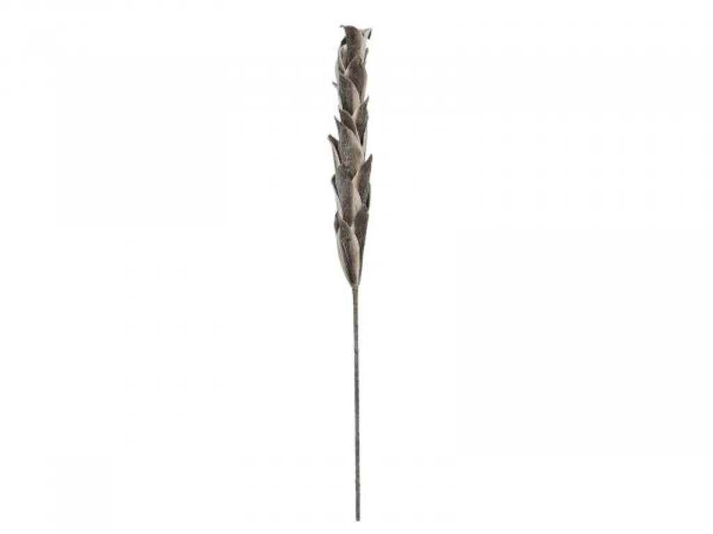 EUROPALMS Ramo di palma reale, artificiale, 180 cm | Onlineshop
