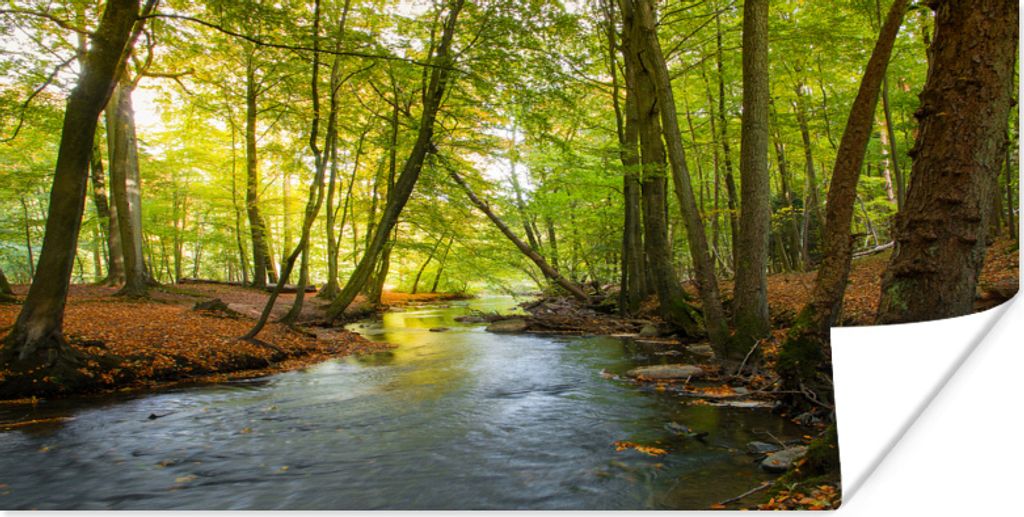 MuchoWow Poster Ein dunkler Fluss inmitten eines dänischen Waldes 160x80 cm - Foto Poster