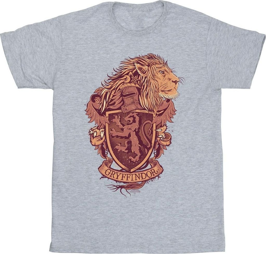 Harry Potter - "Gryffindor" T-Shirt für Jungen BI21244 (104) (Grau)
