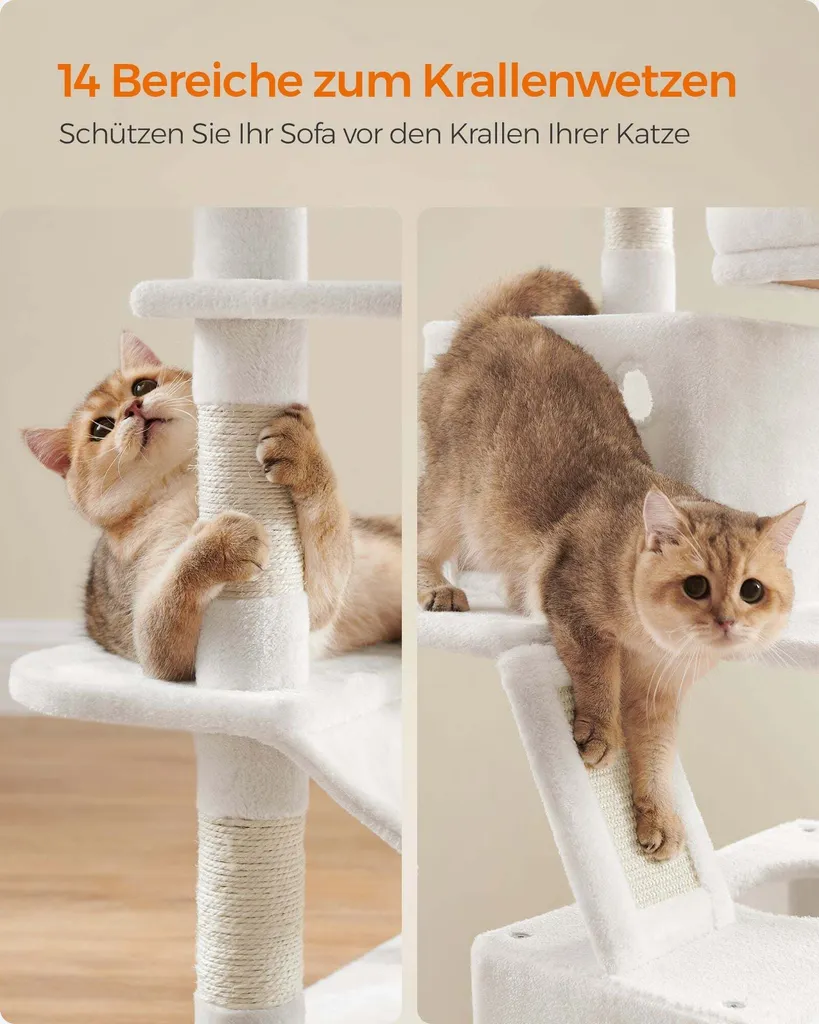 Tour pour Chat Multi-Niveaux 168 cm avec Griffoirs en Sisal - Rootz