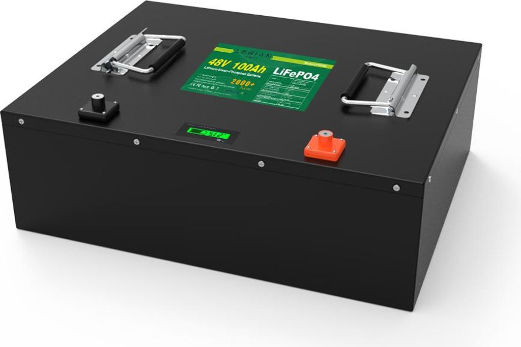 LiFePO4 Akku 48V (51,2V) 100Ah 100A Lithium-Eisenphosphat Batterie für Camping Boot Caravan Wohnwagen Elektromobile Golfwagen