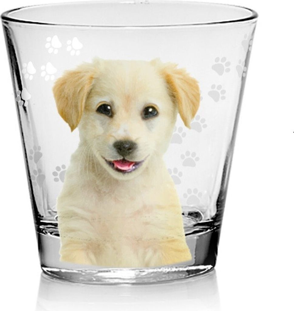 Wasserglas Motiv Hund Saft Trinkbecher 250 ml