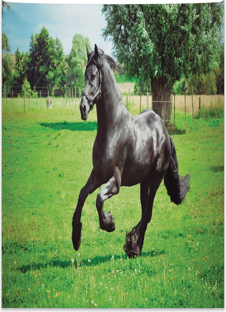 Abakuhaus Tier Wandteppich, Friesen-Symbol aus Weiches Mikrofaser Stoff Kein Verblassen Klare Farben Waschbar, 110 x 150 cm, Schwarz Grün