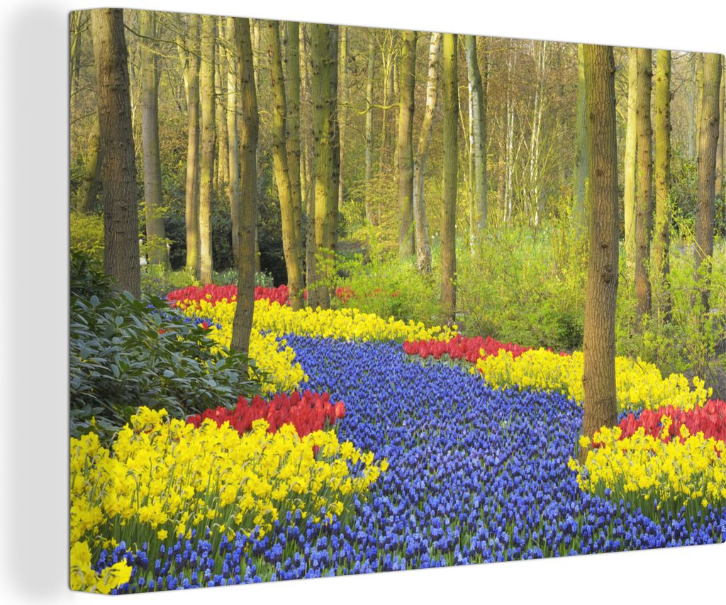 OneMillionCanvasses - Leinwandbilder - 140x90 cm, Tulpenzwiebelspaziergang auf dem Keukenhof, Wandbilder Kunstdruck Wanddekoration