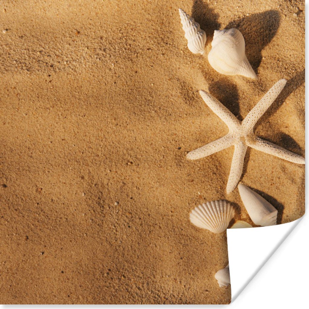 MuchoWow Poster Seesterne - Muscheln - Sand 100x100 cm - Babyzimmer