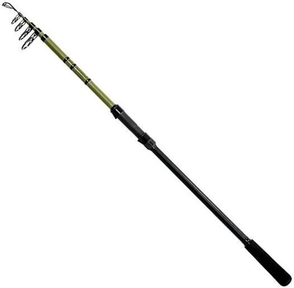 DELPHIN PARTISAN, 3m, 9.84ft, 0-100g, 6 pezzi, canna da Immagine del prodotto 