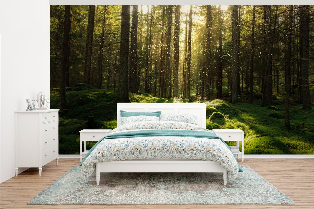MuchoWow Fototapete für Wohnzimmer oder Schlafzimmer Wandtapete Vinyl Motivtapete Bäume - Wald - Moos - Pflanzen - Sonne - Natur - 465x260 cm -...