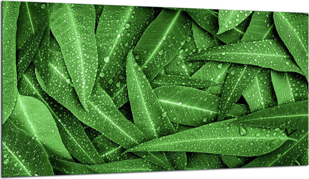 Herdabdeckplatte Glaskeramikkochfeld-Abdeckung Spritzschutz Glas 90x52 Grün