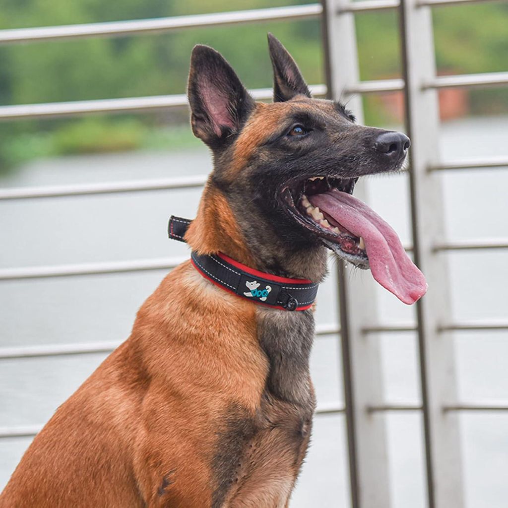 Bequeme weiche Neopren gepolsterte Halsband reflektierend und verstellbar für große Hunde (L lila)