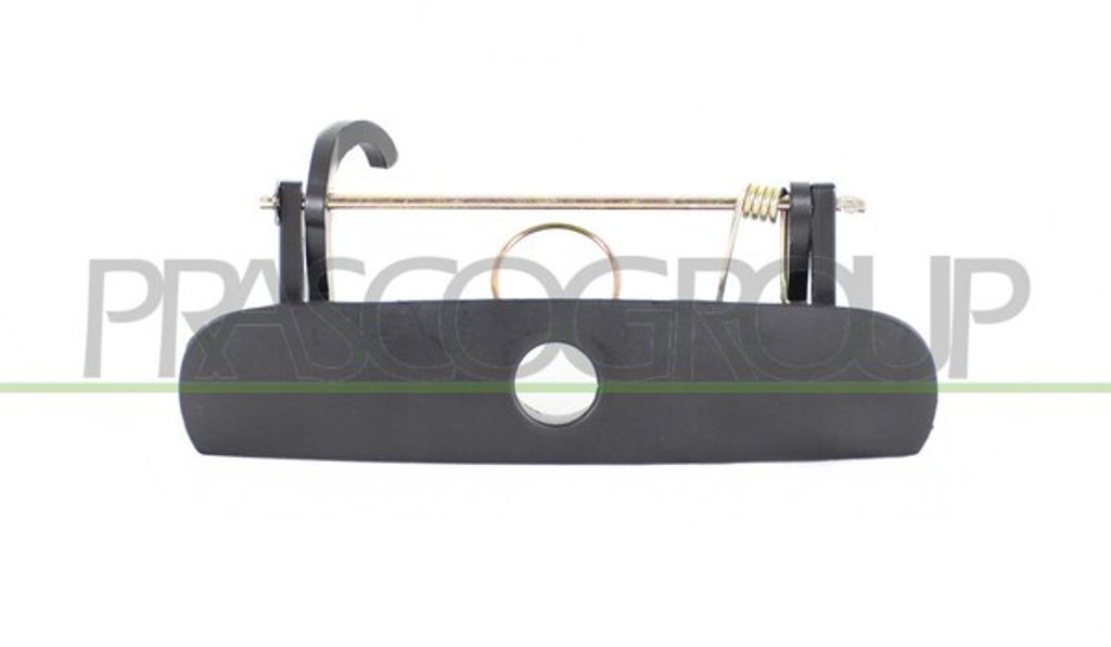 PRASCO VG0238303 Türgriff für VW POLO (9N)