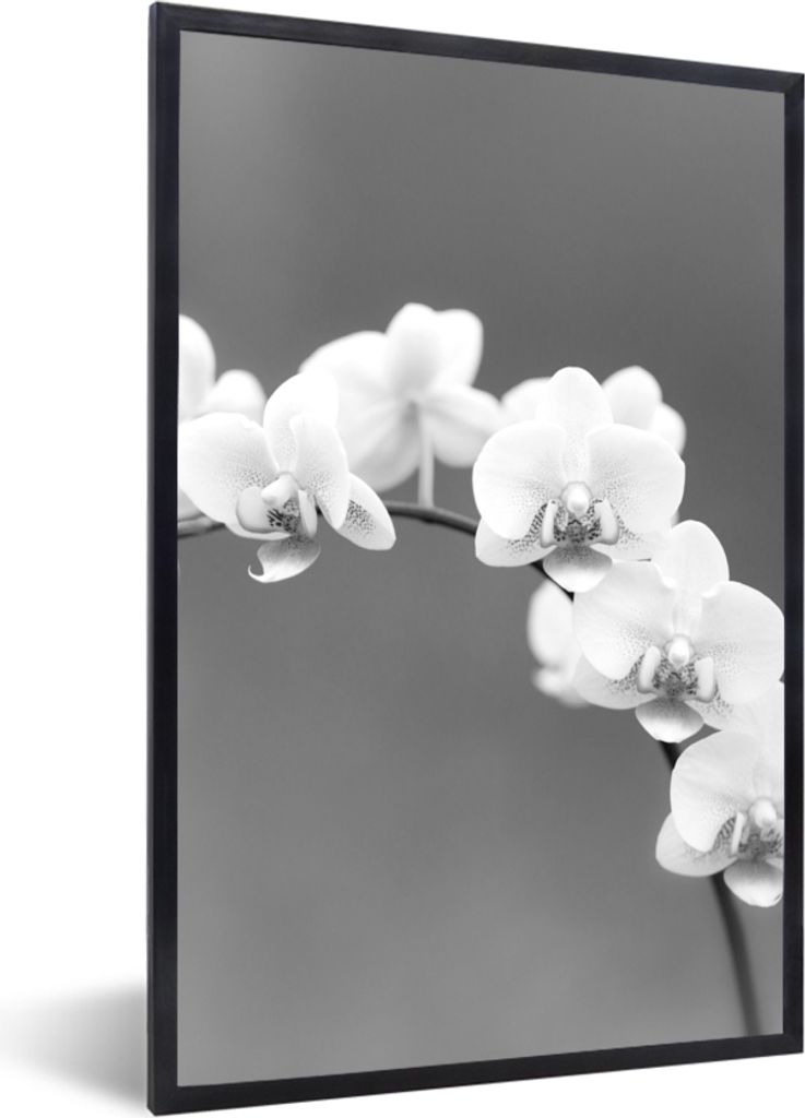 MuchoWow Gerahmtes Poster Orchidee - Blumen - Pflanze - Weiß - Lila 20x30 cm - Poster mit Schwarzem Bilderrahmen Wandposter Rahmen Foto Bilder -...