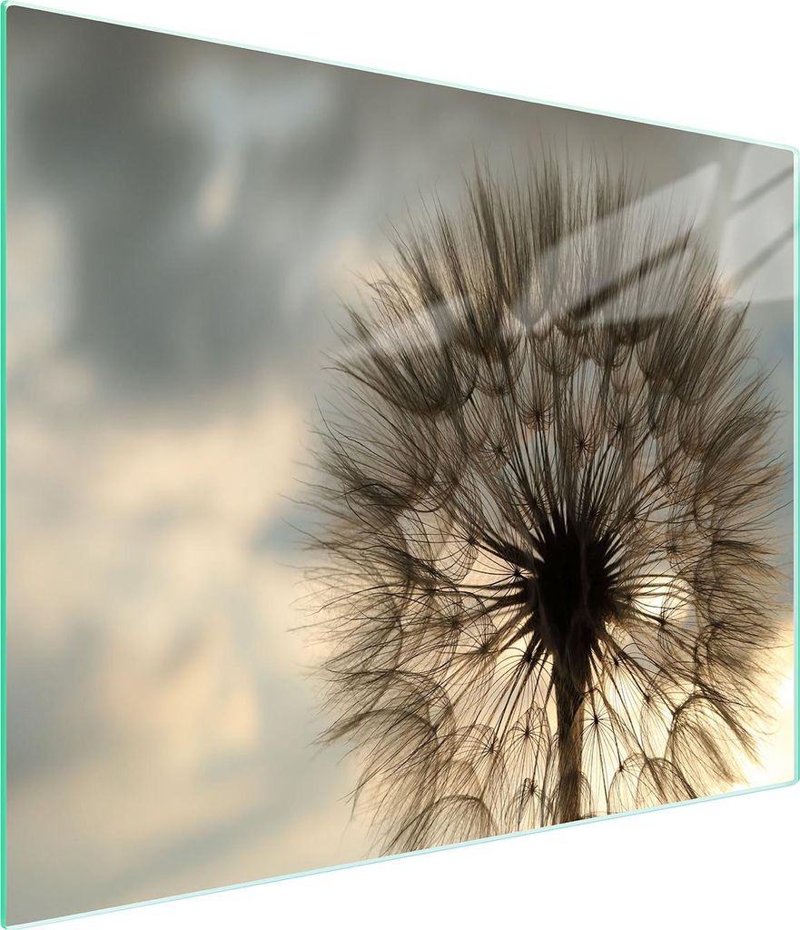 Glasschneidebrett 52x30 Blume