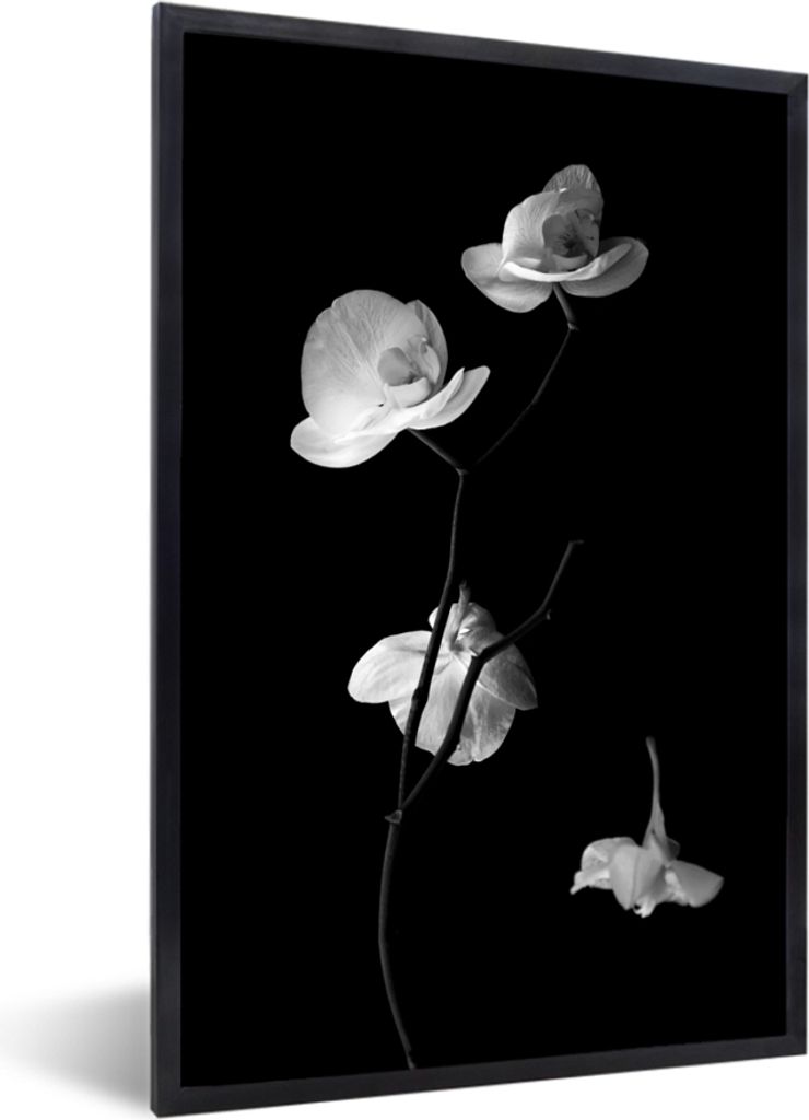 MuchoWow MuchoWow Gerahmtes Poster Orchidee - Blumen - Schwarz - Weiß - Stilleben 60x90 cm - Poster mit zchwarzem Bilderrahmen - Kunst