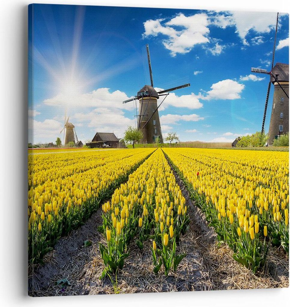 Bild auf Leinwand - Leinwandbild - Tulpen Windmühle Wiese Landschaft - 40x40cm - Wand Bild - Wanddeko - Leinwanddruck - Bilder - Kunstdruck - Lein...