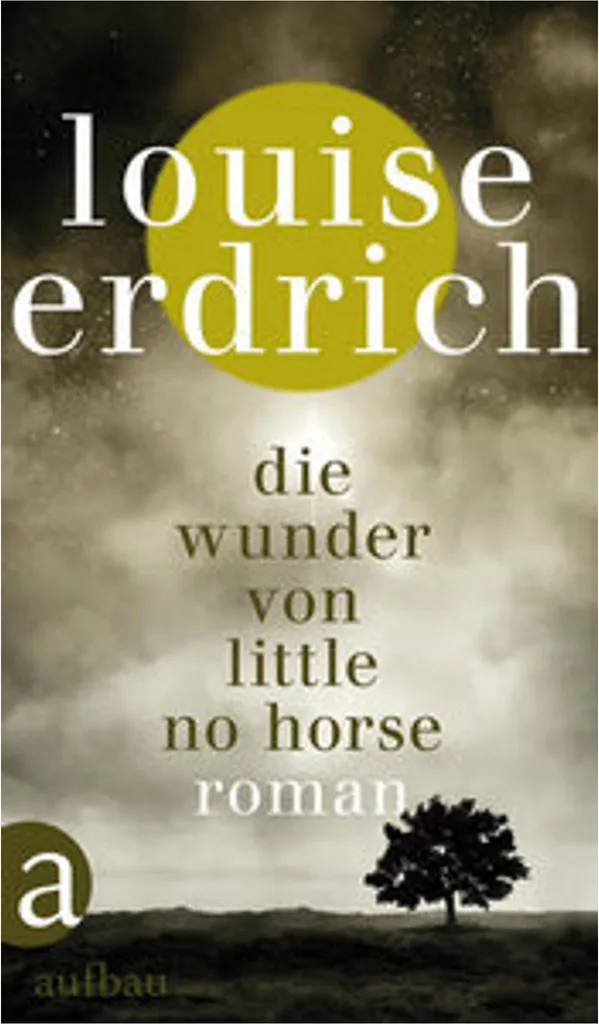 Roman La Dernière Nuit au Little No Horse - Édition Littérature Fiction