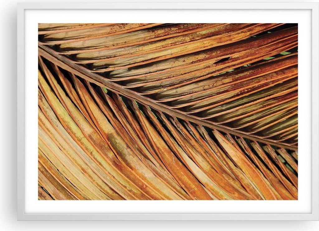 Gerahmtes Poster - Weißer Rahmen - Orange Blatt Tropisch - 70x50 cm - Wand Bild - Wanddeko - Wandbilder - Kunstposter - Wandposter - Bilderrahmen ...