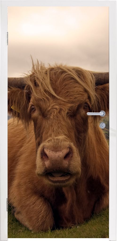 MuchoWow Türtapete Selbstklebende Türfolie Schottischer Highlander - Tiere - Berg 75x205 cm Türposter Türaufkleber Klebefolie Türklebefolie ...