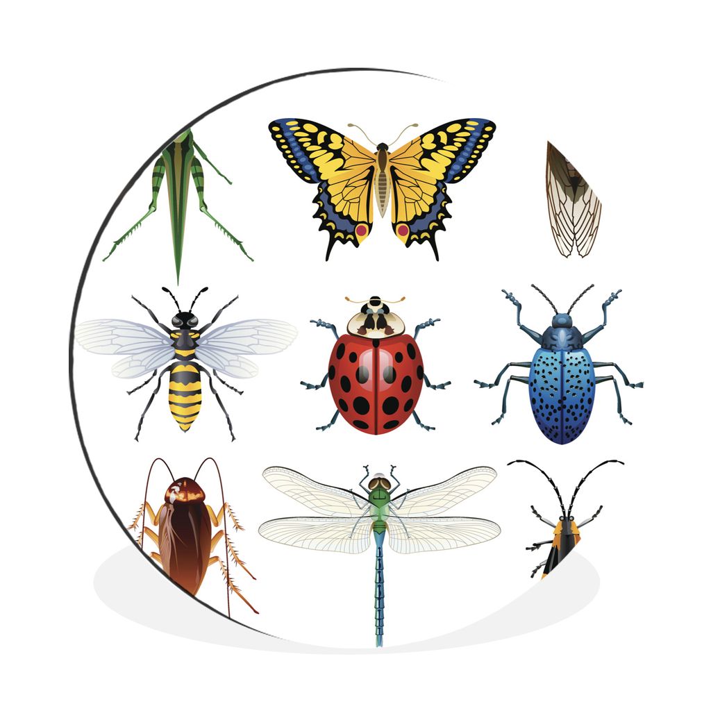 MuchoWow Aluminium Wandkreis Insekten - Illustration - Flügel Ø 90 cm Wanddeko Modern Wohnzimmer - Mauerkreis - Wandbilder - Runde Bild - Bild ...