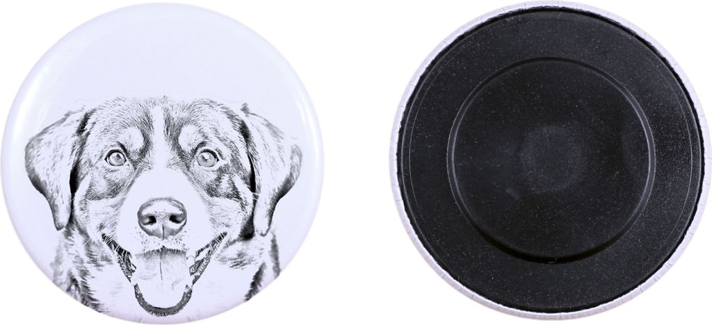 Entlebucher Sennenhund Magnet mit einem Hundepfotenabdruck, außergewöhnlich leicht, starker Magnet, handgefertigtes Produkt der Marke Art-Dog