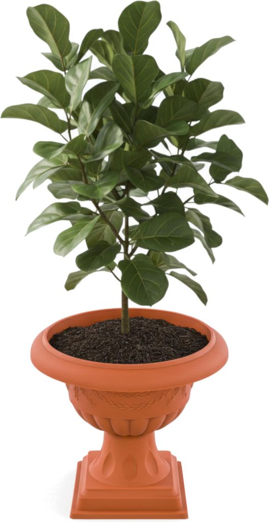 Blumentopf großer Blumentopf Pflanzpokal, Amphore Pflanzgefäß mit Stiel Blumenbeet Ø 47 cm H 52,5 cm rund Terrakotta Breit Home and Garden Arra...