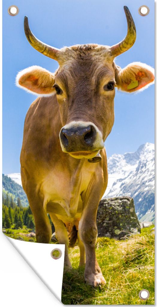 MuchoWow 80x160 cm Outdoor-Poster Gartendeko Sichtschutz Garten Poster für den Garten Kühe - Sonne - Österreich