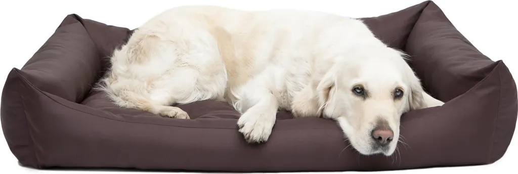 Cuscino Cani Pontes Eco XXL 105x75x17 cm - Alta Densità Marrone