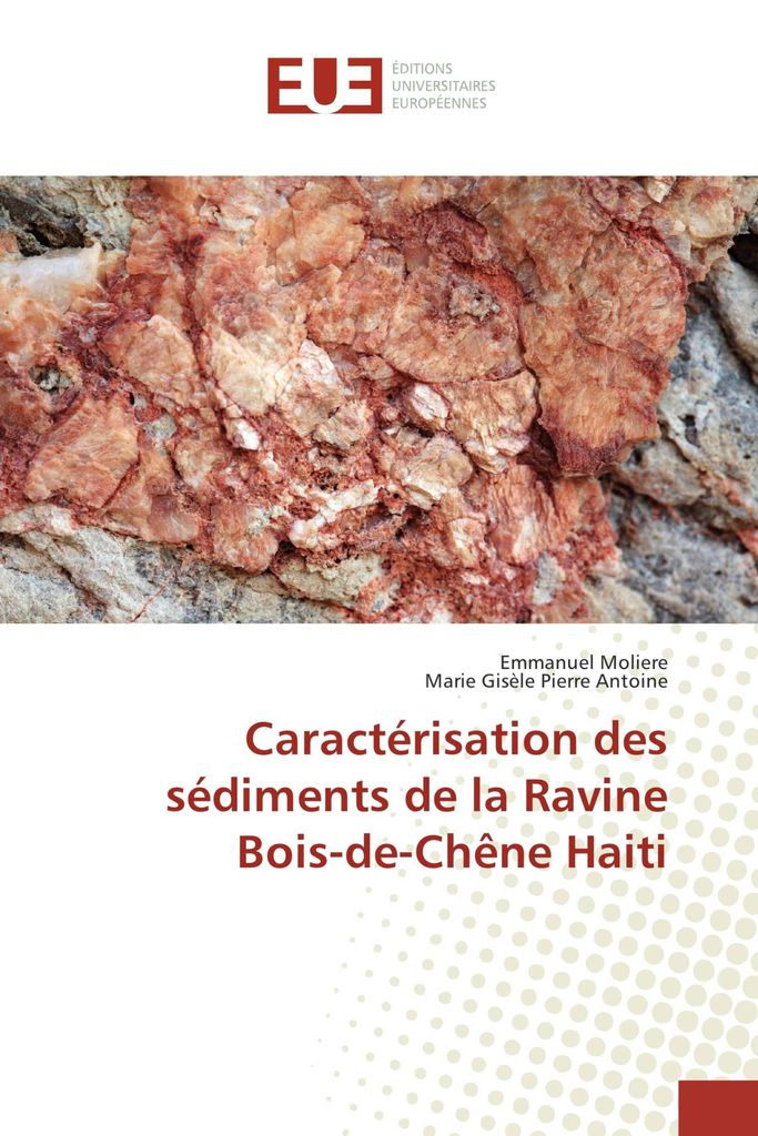 Caractérisation des sédiments de la Ravine Bois-de-Chêne Haiti