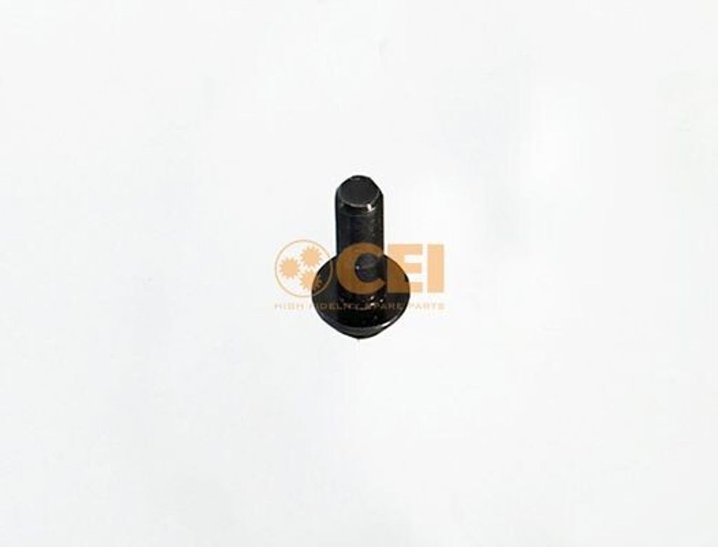Schraube C.E.I 187.977