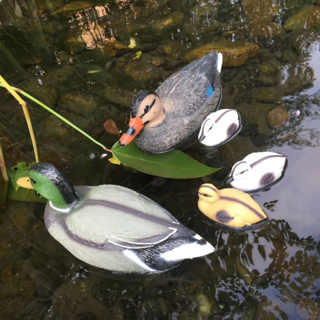 SchwimmentenFamilie für den Gartenteich Kaufland.de