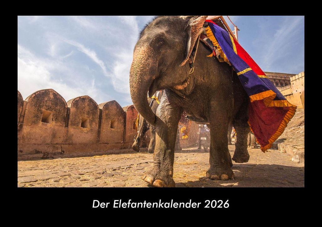 Der Elefantenkalender 2026 Fotokalender - Querformat DIN A3, Monatskalender mit Bild-Motiven von Haustieren, Bauernhof, wilden Tieren und Raubtieren