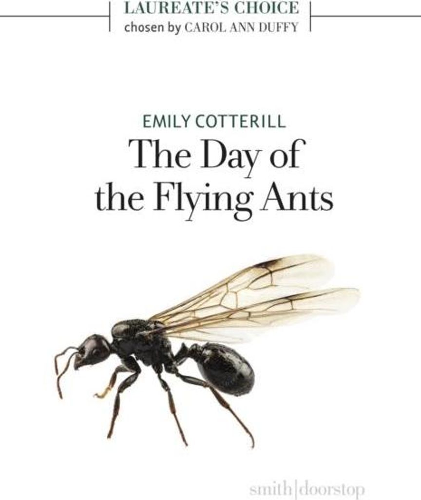 The Day of the Flying Ants