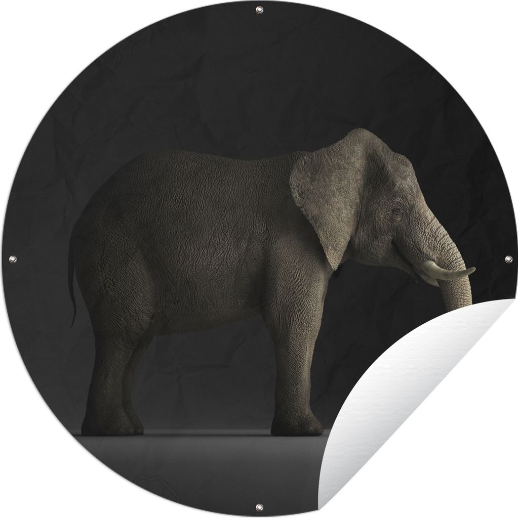 MuchoWow Gartenposter Outdoor-Poster Rund Elefant - Tiere - Licht Ø 120 cm Gartendeko Rundes Poster draußen