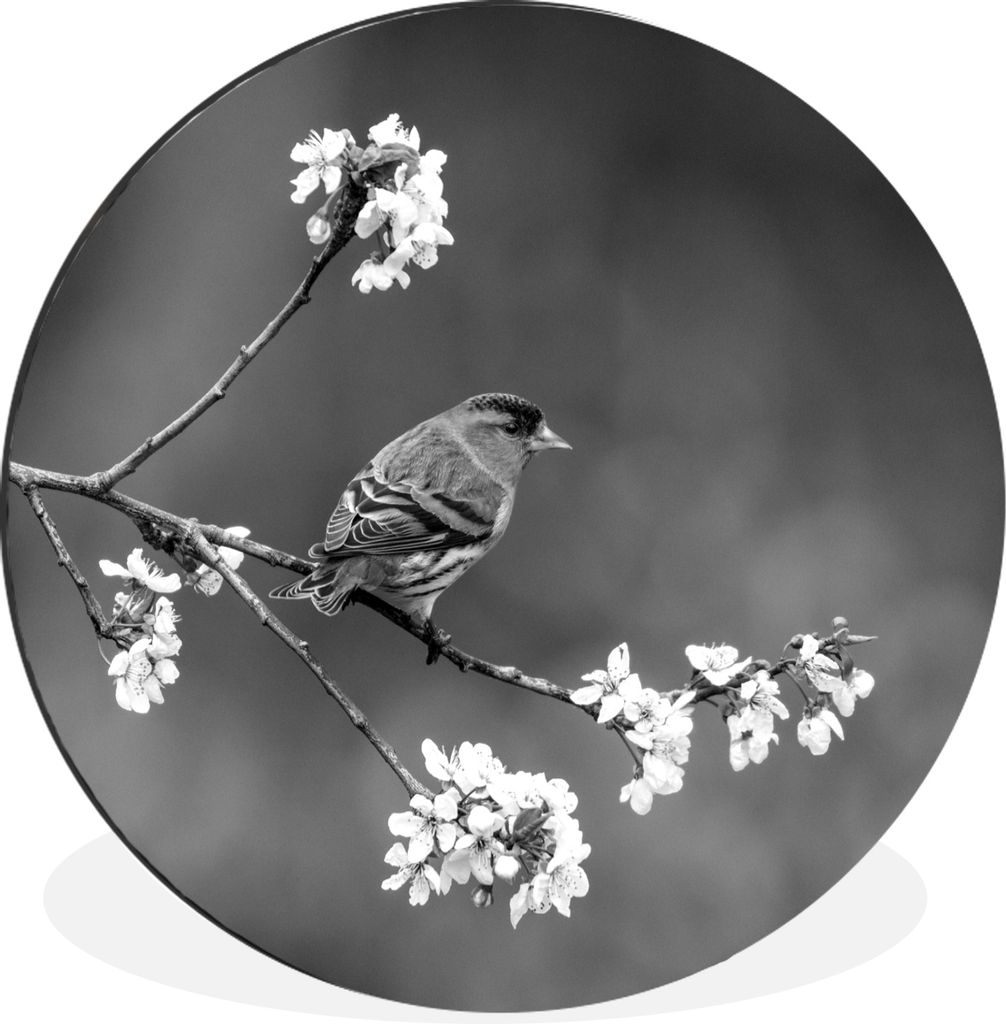 MuchoWow - Wand Bild - Wohnzimmer - Runde Bilder - Alubilder - Kunst für zu Hause - Aluminium - Wanddekoration