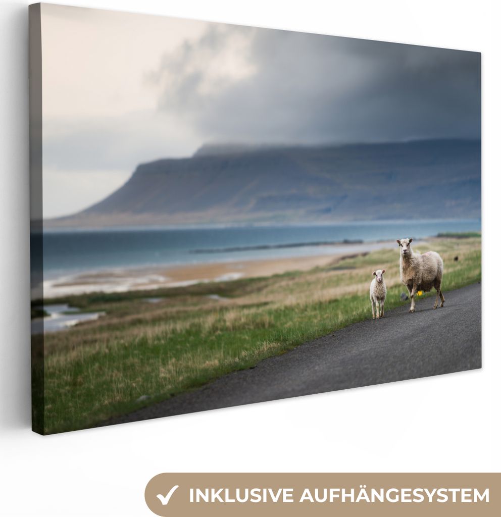 OneMillionCanvasses - Leinwandbilder - 150x100 cm, Schaf - Lamm - Sturm, Wandbilder Kunstdruck Wanddekoration