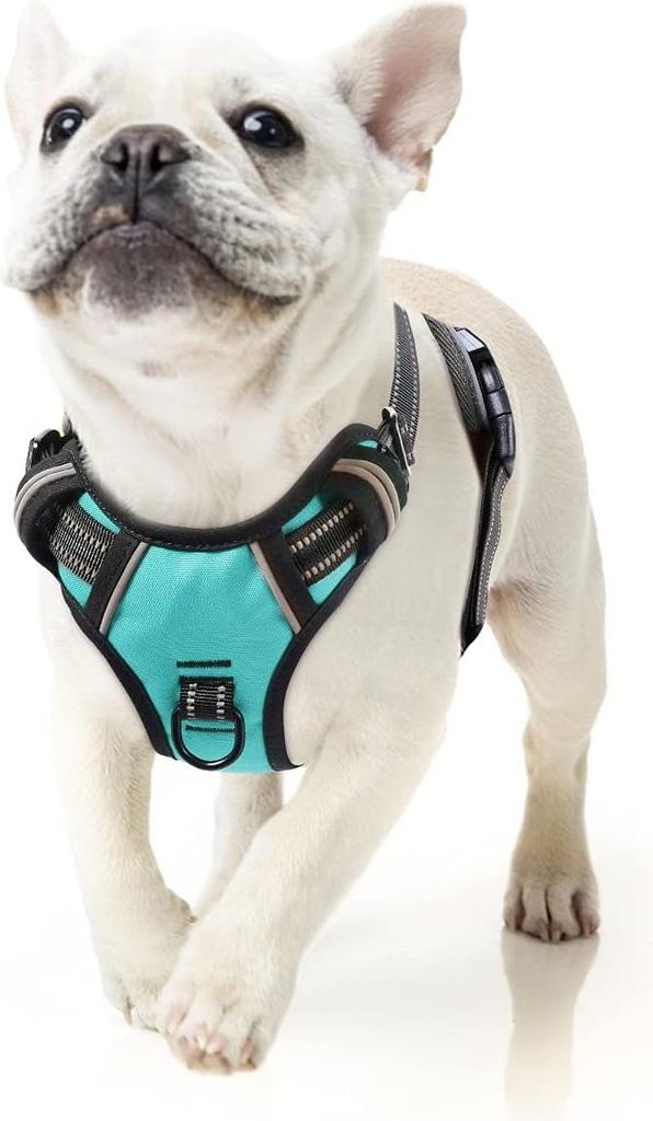 Middle Hundegeschirr, atmungsaktiv, reflektierend, Anti-Zug, Turquoise, Größe S