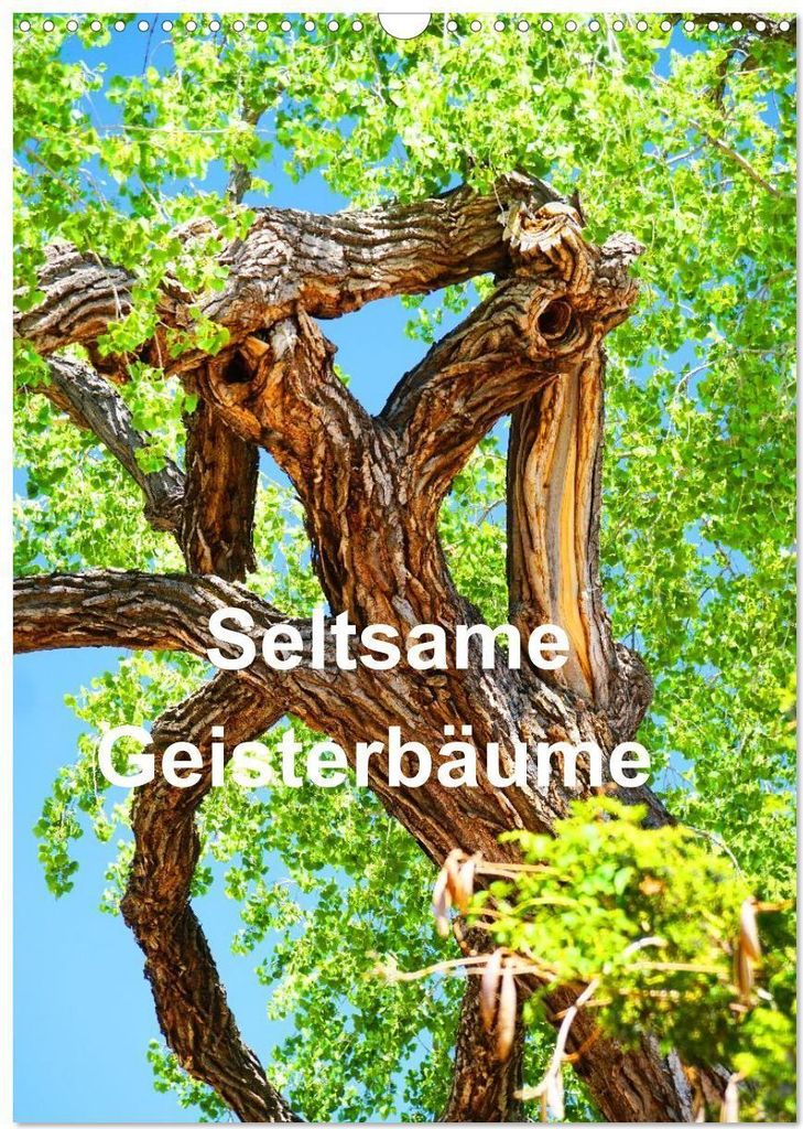 Geisterbäume (Wandkalender 2026 DIN A3 hoch), CALVENDO Monatskalender