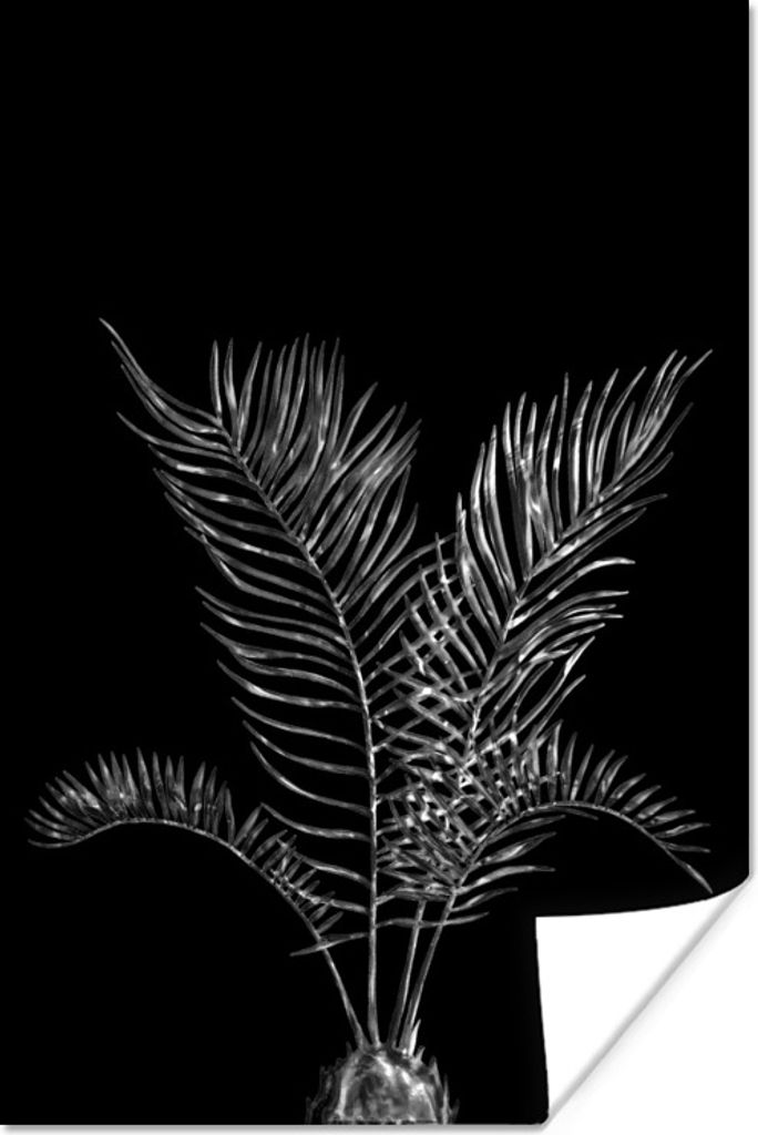 MuchoWow Poster Blätter einer Palme auf schwarzem Hintergrund - schwarz und weiß 60x90 cm - Wanddekoration