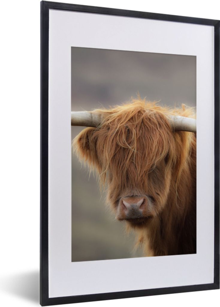 MuchoWow Gerahmtes Poster Schottischer Highlander - Hörner - Haare 40x60 cm - Poster mit Schwarzem Bilderrahmen Wandposter Rahmen Foto Bilder - ...