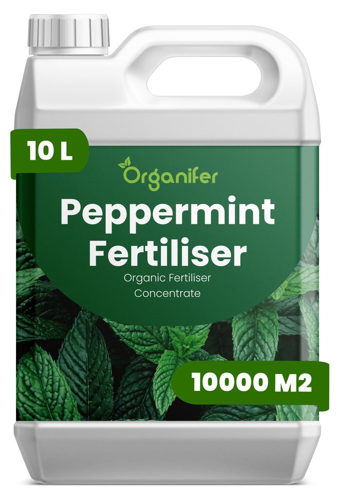 Pfefferminze Flüssigdünger 10L – 2-1-8 NPK – Flüssig-Pflanzendünger für große Kräuterbeete, Hochbeete & Gartenkulturen – Organifer