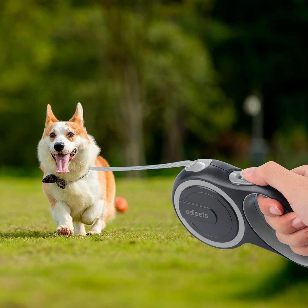 Hundenriem 8 Meter - Hundenriem Flexi - Rollijn Hund 8 Meter