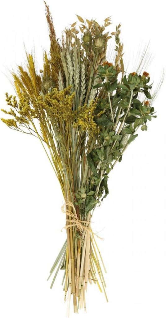 Trockenblumen DIY Set für stilvolle Dekoration und kreative Floristik