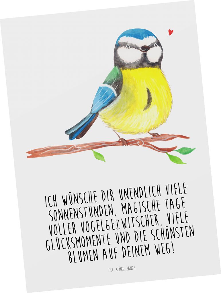 Mr. & Mrs. Panda Postkarte Vogel Blaumeise - Weiß - Produktbild 