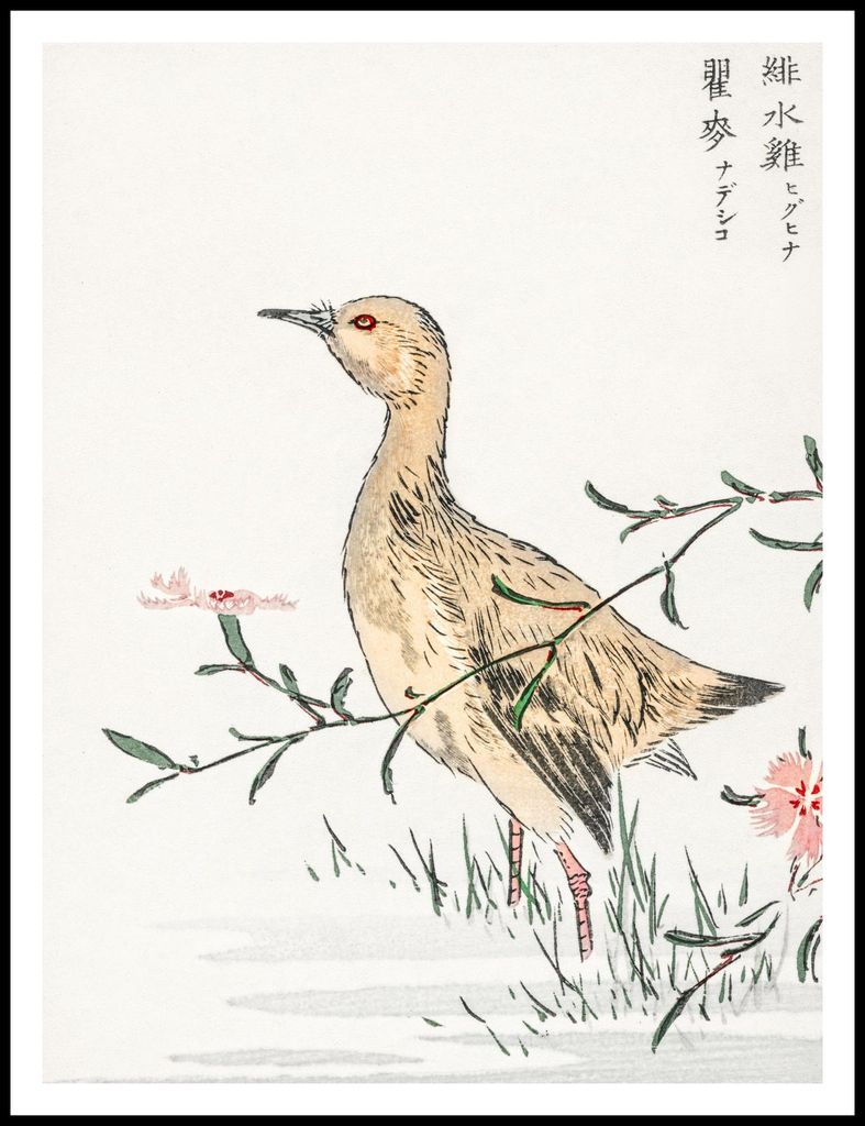 Plakat 75x100cm Redshank, Japanischer Kashu Vintage für das Wohnzimmer